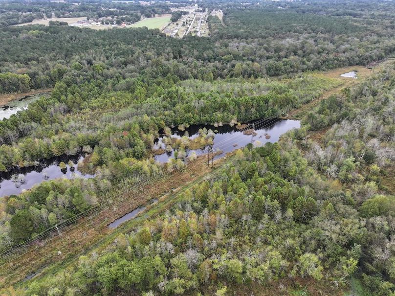 DJI_20251015091719_0138_D