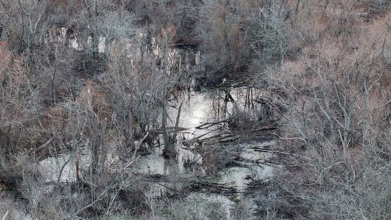 Phillips 8.5 Trahan -17