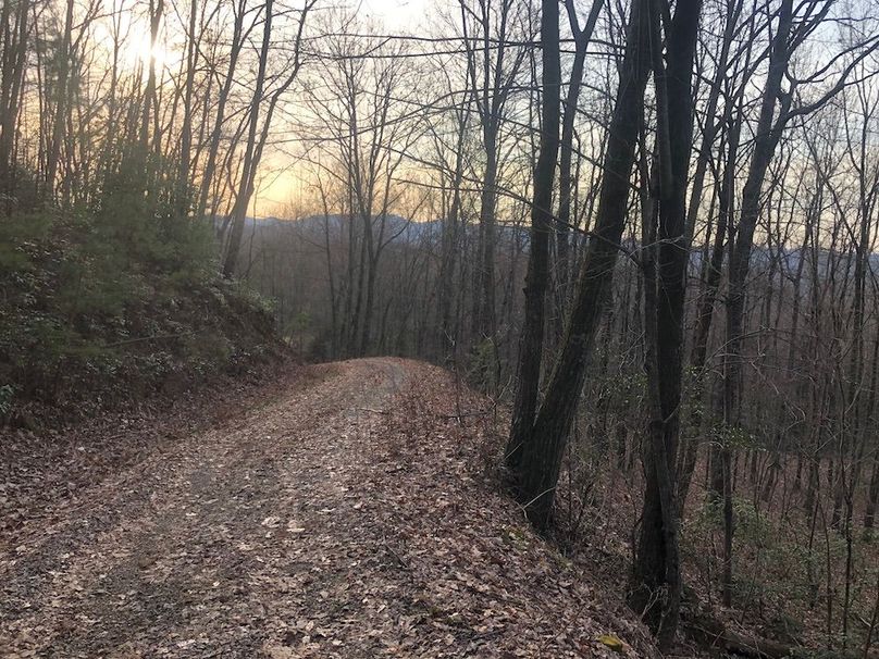 002_Roads on property