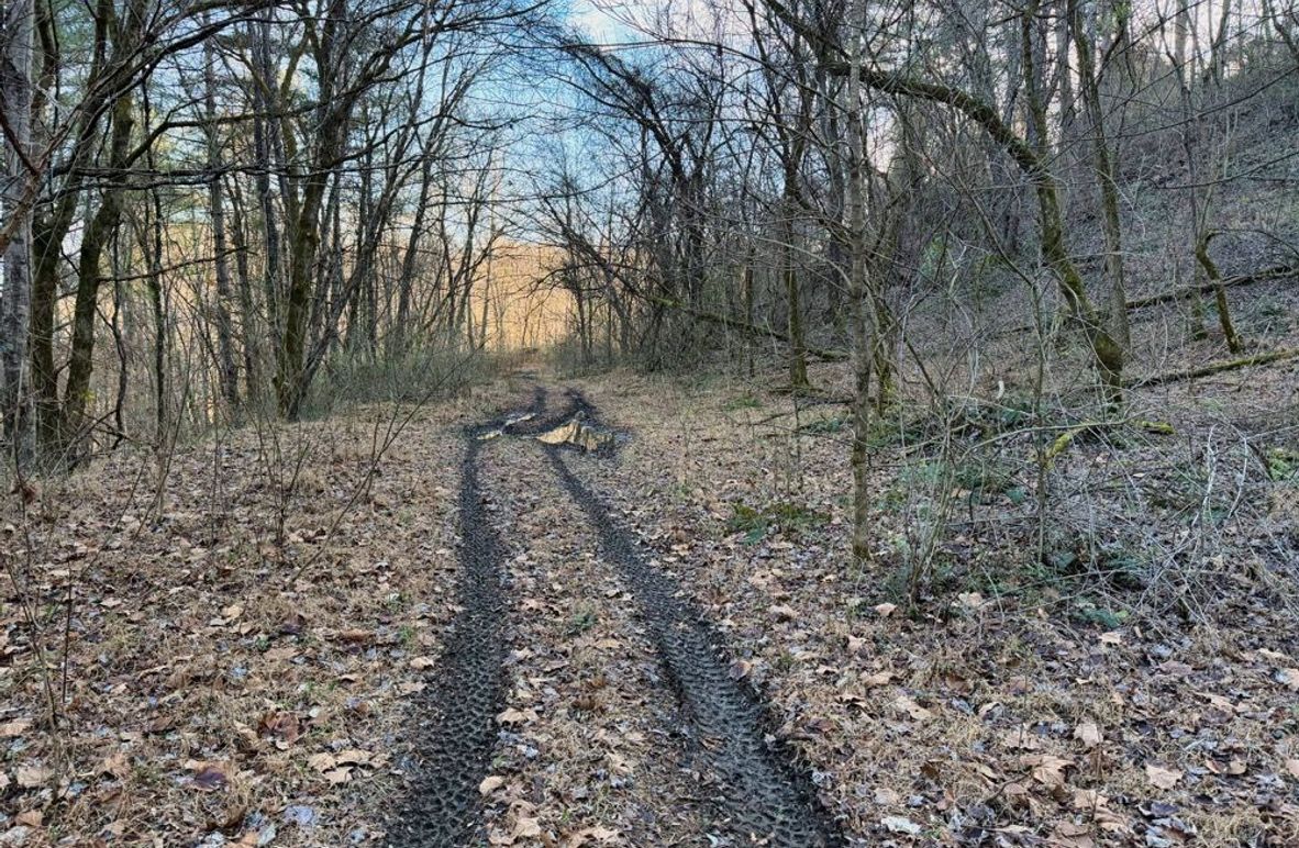 004 nice trail system throughout-2