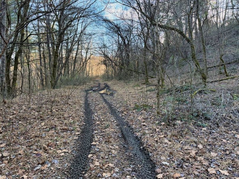 004 nice trail system throughout-2