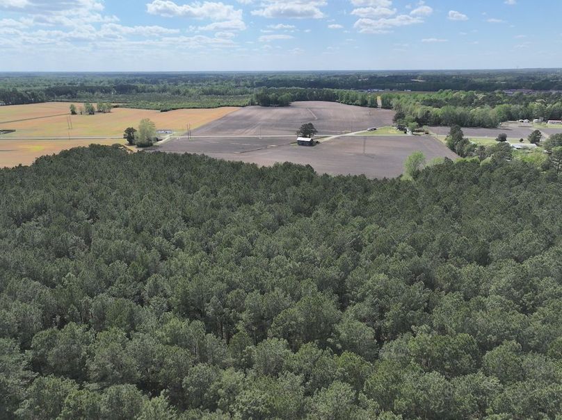 dji_fly_20260315_121148_0541_1775758655350_photo