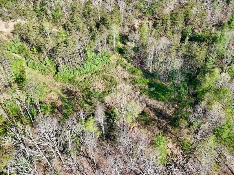 Scott Co TN 286 Keeton_078