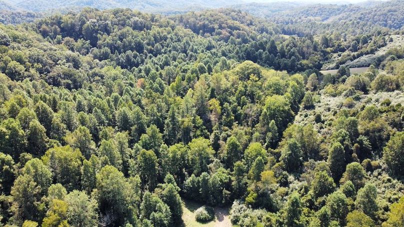 dji_fly_20250910_144526_194_1757539811679_photo_optimized