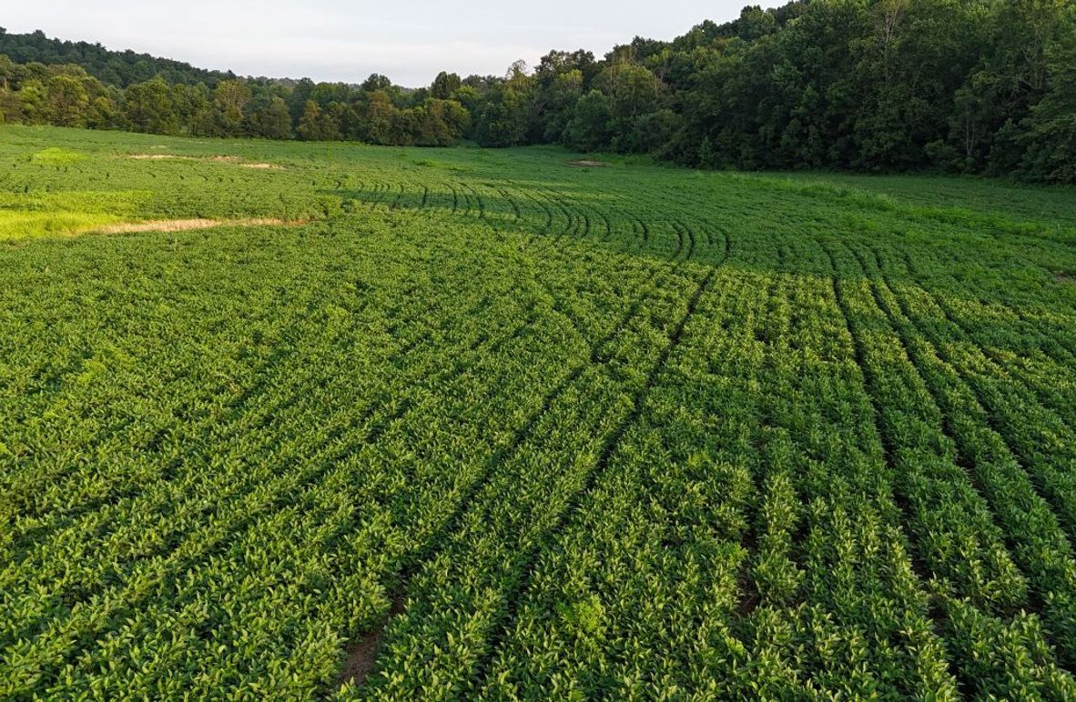 DJI_20250730185649_0071_D