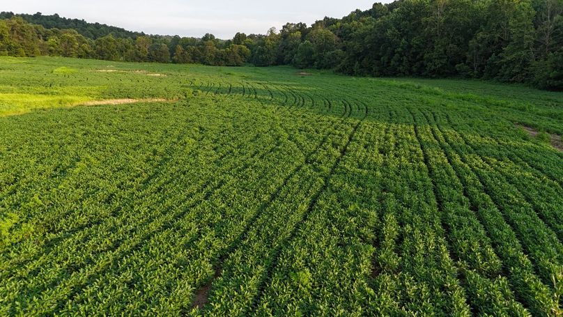 DJI_20250730185649_0071_D