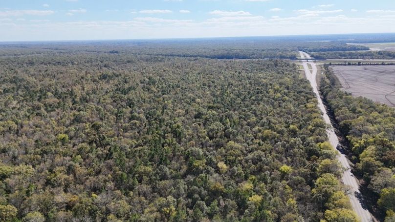 dji_fly_20251106_035338_0085_1762382157271_photo