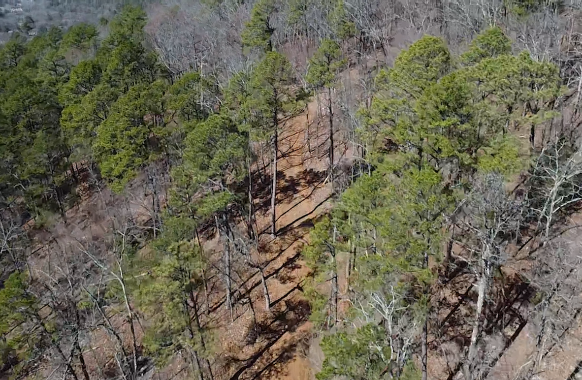 2024-02-13-12-19-33-847