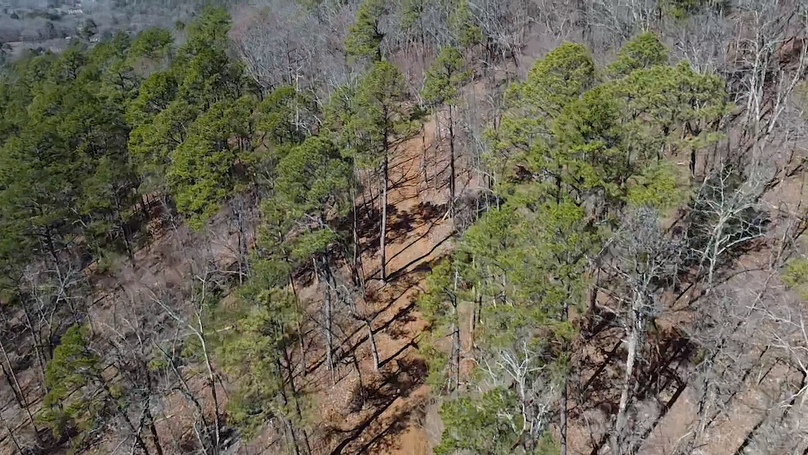 2024-02-13-12-19-33-847