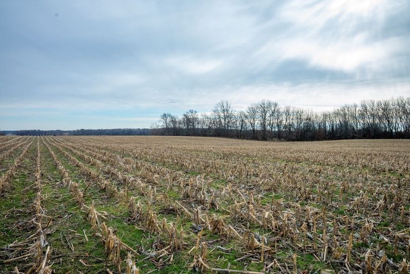 Copy of DSC00744 Large