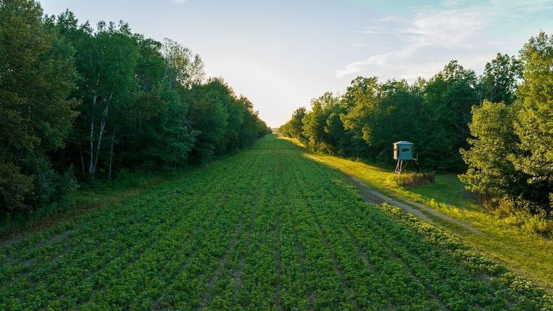 Cass MN 1095 Featured ProPhoto-94