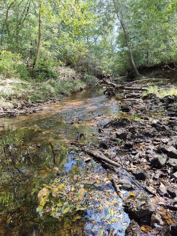 IMG_20231009_133147669