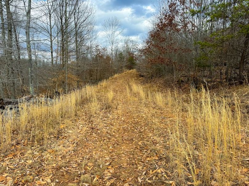 Doddridge, WV 79.08 AC Adams-67