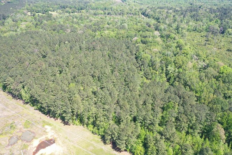 415685B8-DFA4-4A62-8AFC-1F6C7A31A135_1_105_c