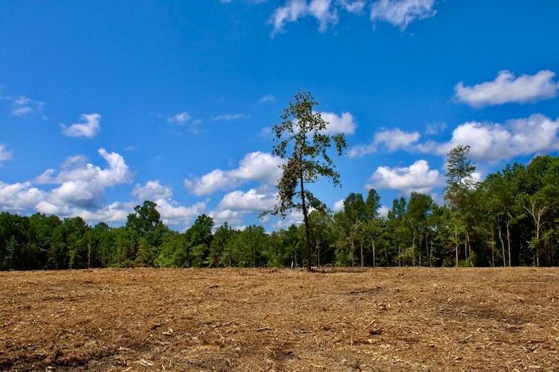 060B0C2C-7553-4519-94E2-8461404C86A2_1_105_c