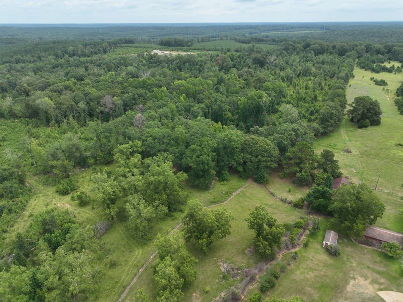 dji_fly_20230803_122122_473_1691080626665_photo