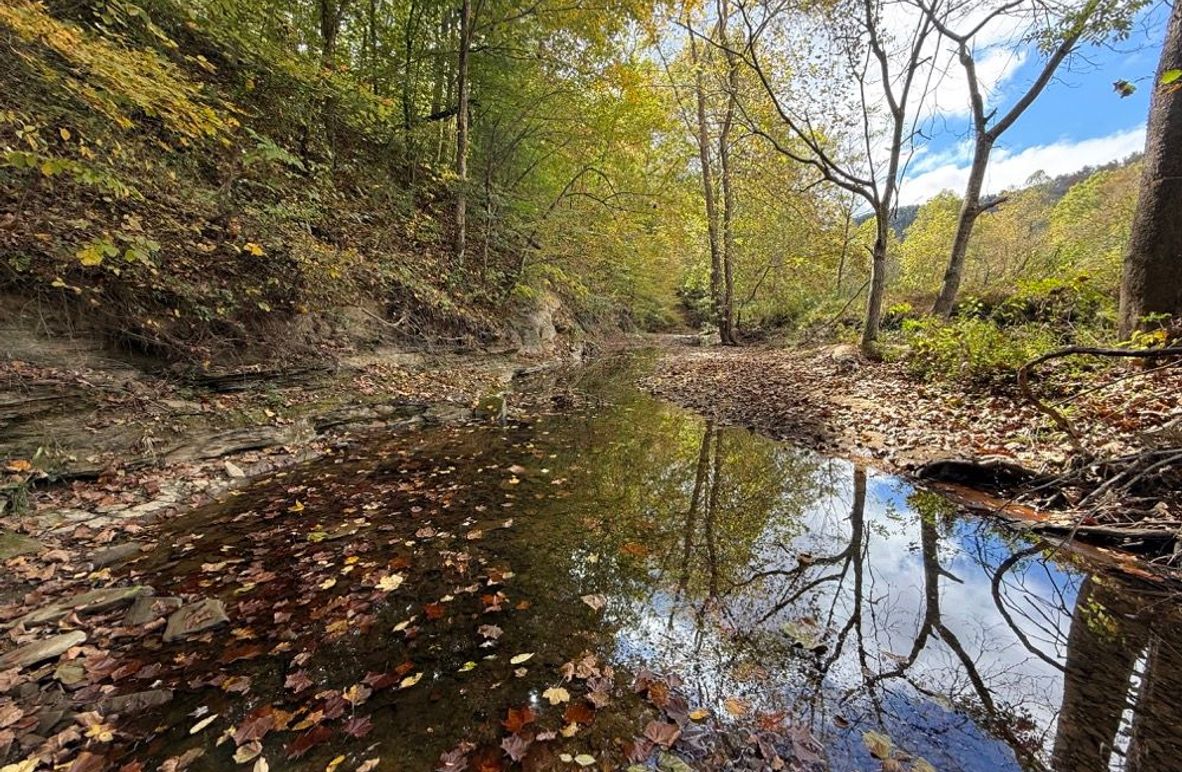 001 view of the year round stream flowing through the property