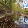 001 view of the year round stream flowing through the property