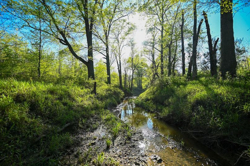 vandalia 450 (2)-3053