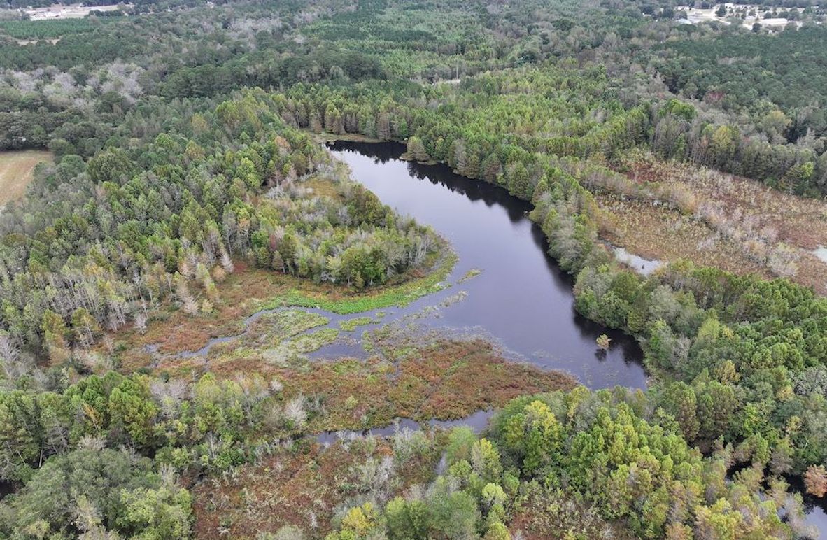 DJI_20251015091732_0139_D