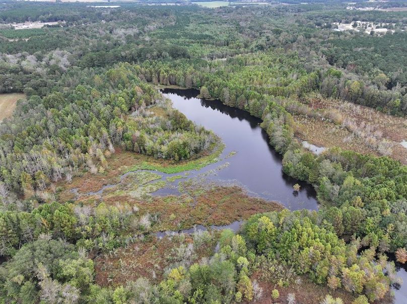 DJI_20251015091732_0139_D