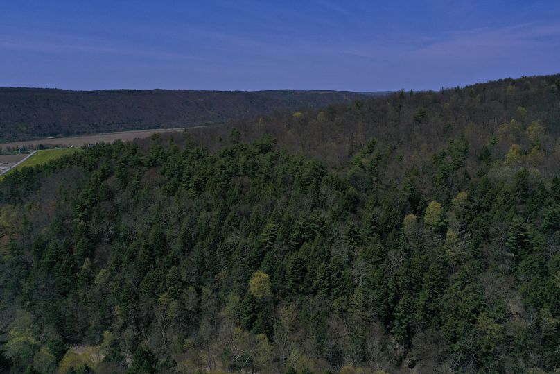 DJI_0718