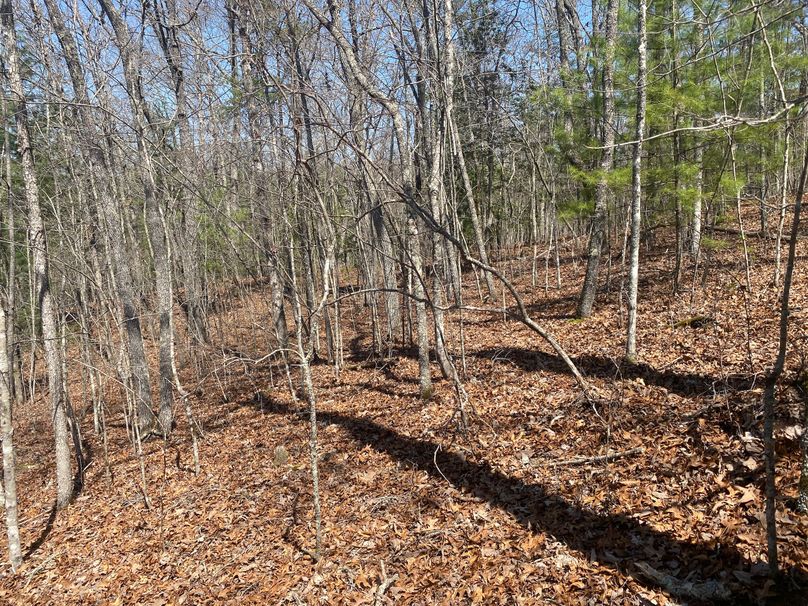 Cherokee 69.74 Stiles-26