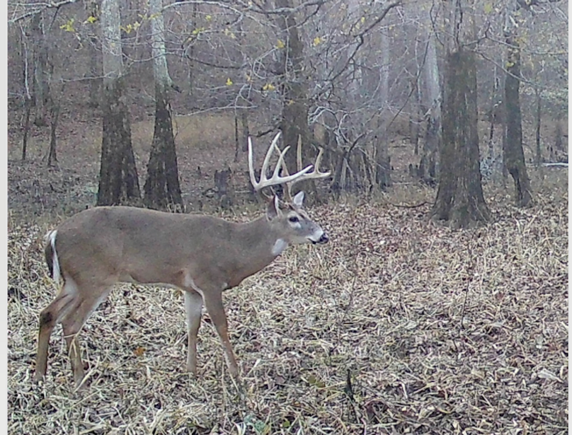 Screenshot 2025-11-06 at 4.15.40 PM