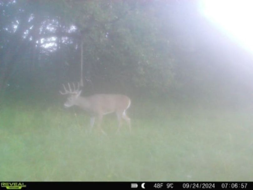 Messenger_creation_CF99D118-C603-4E24-8330-E784C6A62CB0