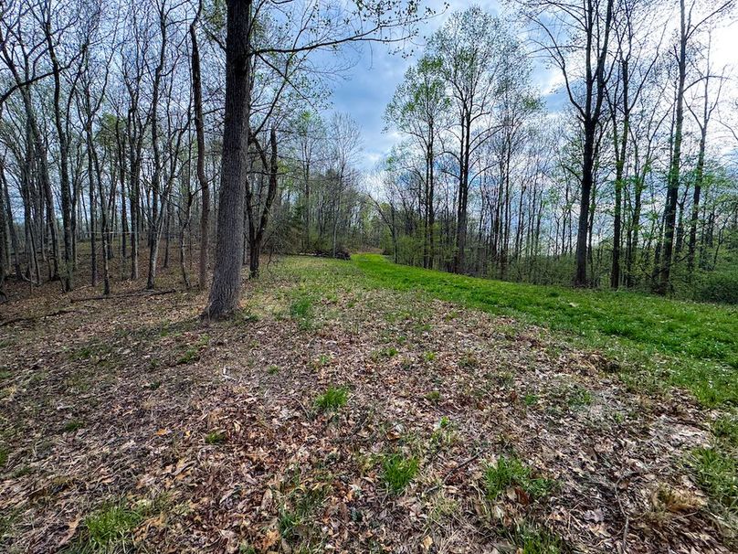 Calhoun, WV 132.84 AC Szegi 2-138