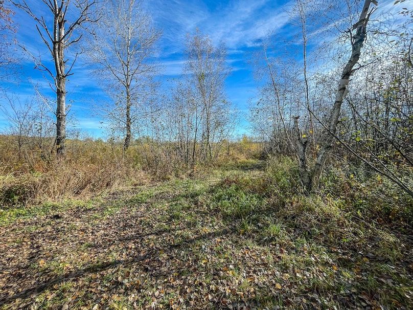 Clark 24.75 Winkel -36