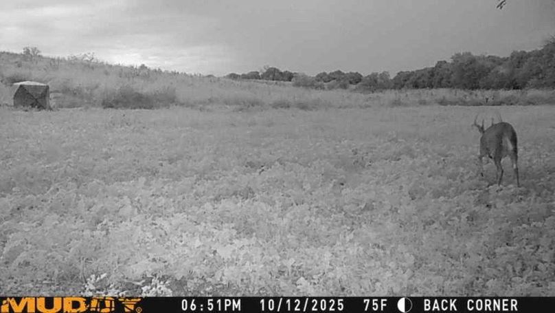 25101218512301004429_ColorizationType.none