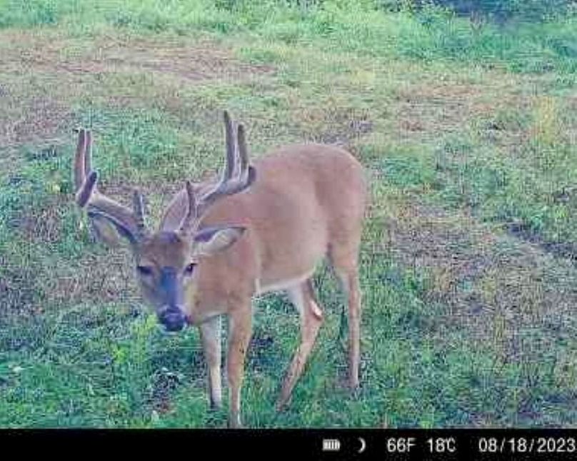 fc92b8ac-0d65-4240-89ce-17669acf9c45