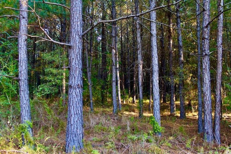 A3669293-D203-4647-8F2B-CACF4C27A017_1_105_c