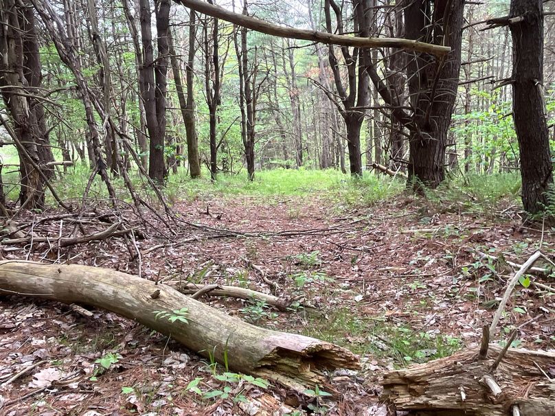 Tioga_18.72_Coulson Photo 25