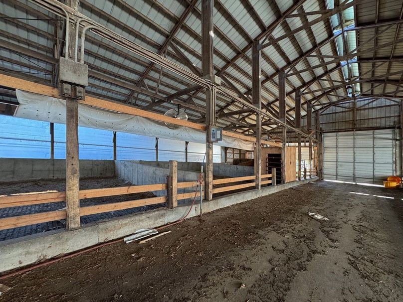 Monroe 5.31-25 Large