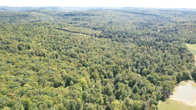 dji_fly_20240906_133416_590_1725645025096_photo