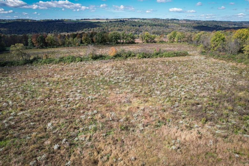 Tompkins_30.32_Hildreth_Estate_Phoros_48