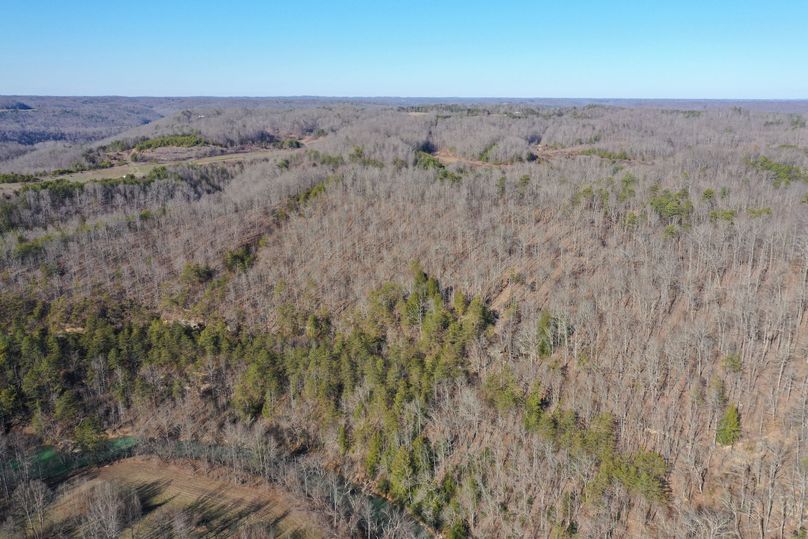 042 aerial drone shot looking towards north portion of property