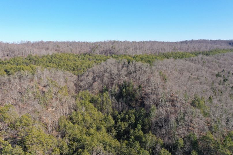 049 aerial drone shot looking towards west side of property