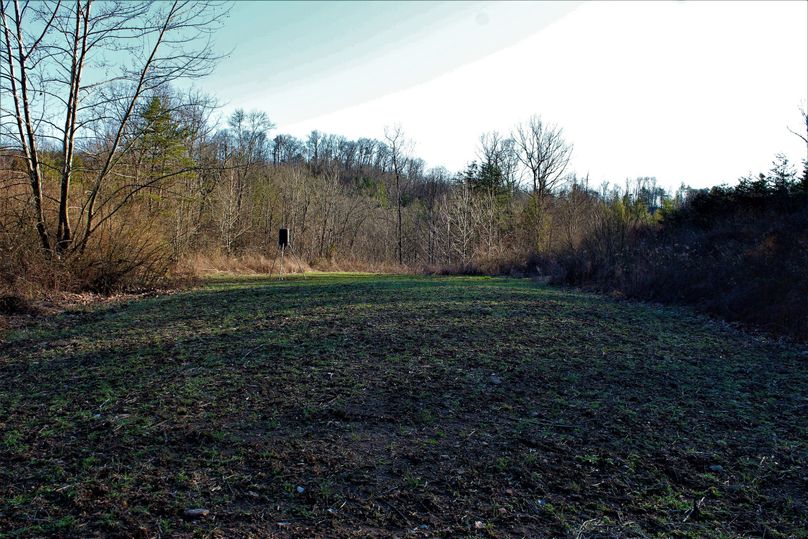 024 awesome food plot in south central portion of property
