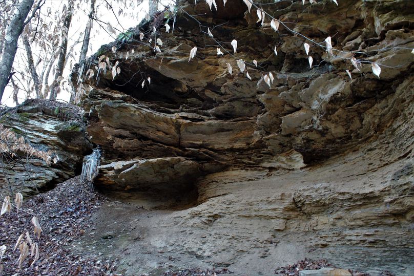 031 extremely detailed rock feature along east side of property