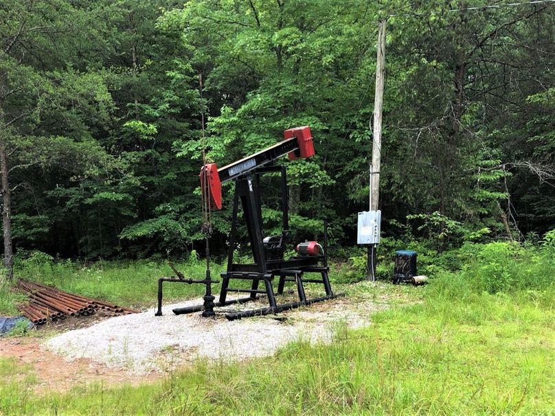 035 springtime oil well near camp on north end of property