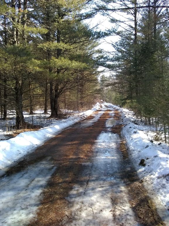 Img 20200308 120236254