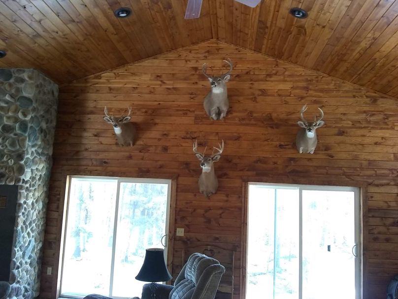 Img 20200308 121102829