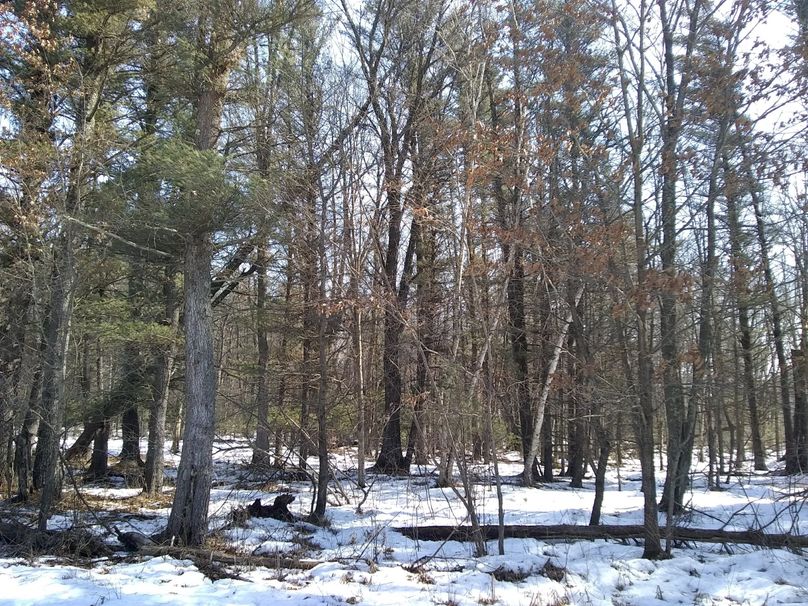 Img 20200308 122448016