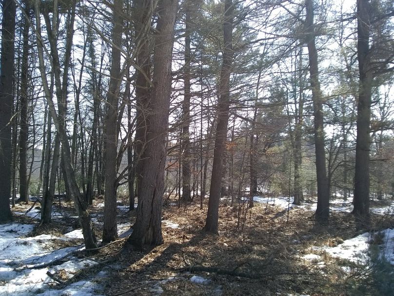 Img 20200308 122522856