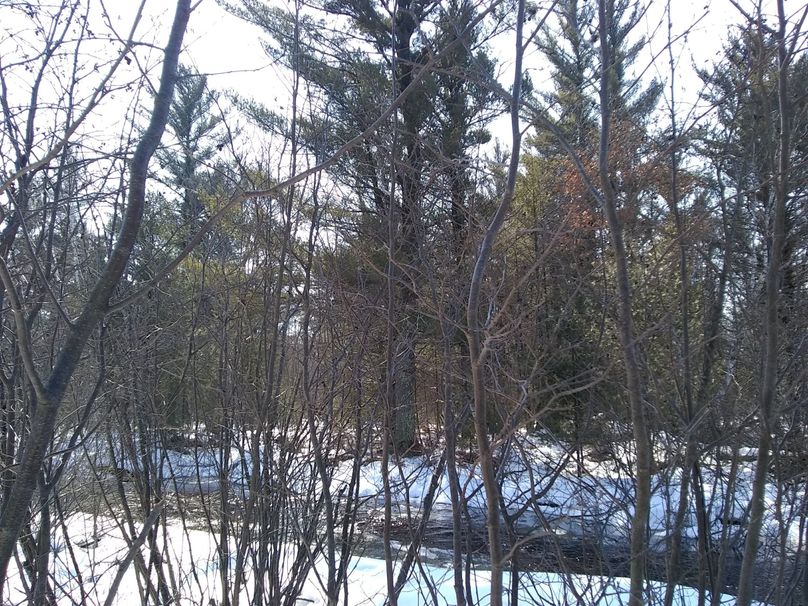 Img 20200308 122856434