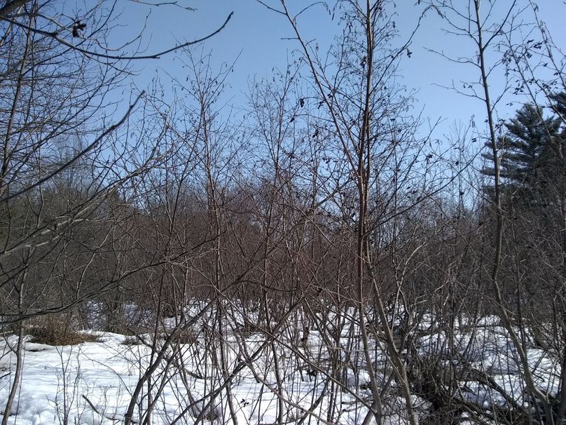 Img 20200308 122906732