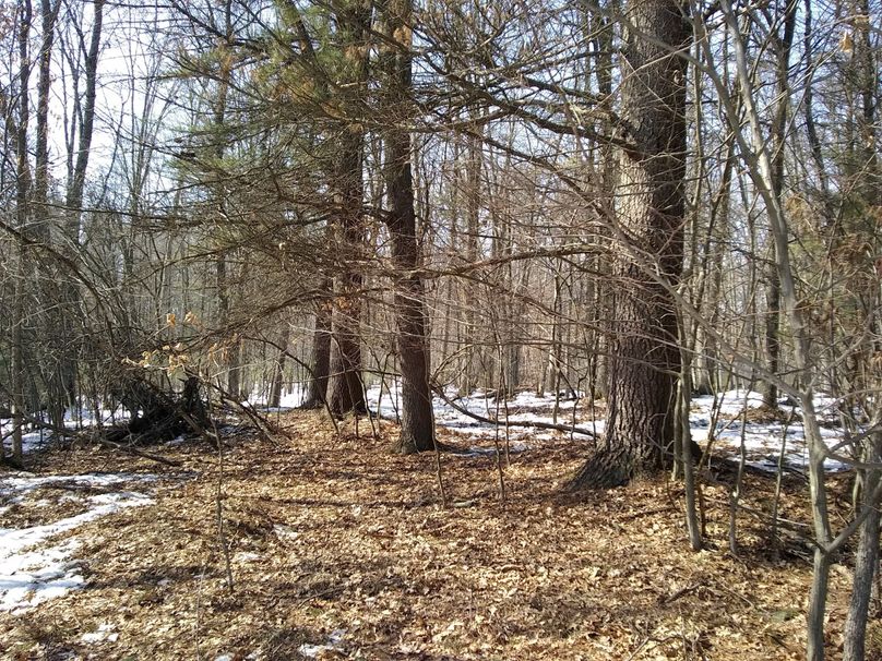 Img 20200308 122320813